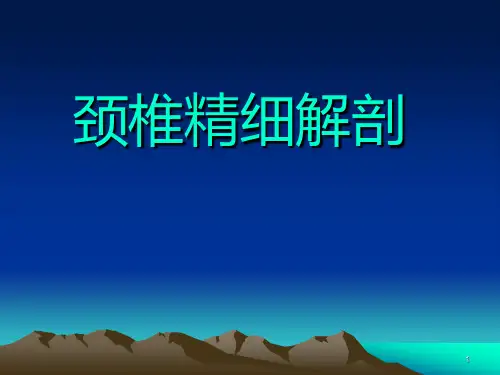 颈椎解剖 PPT课件