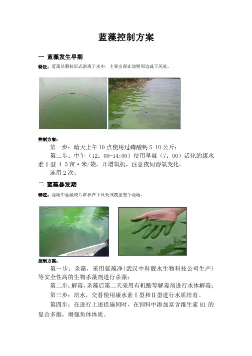 蓝藻控制方案