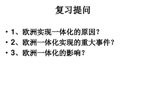 第25课亚洲和美洲的经济区域集团化