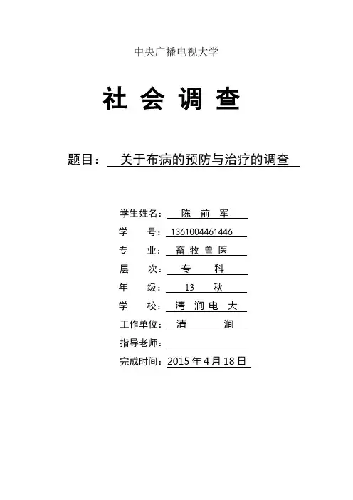 陈前军的调查报告
