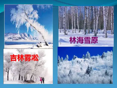 人教版八年级地理 白山黑水——东北三省