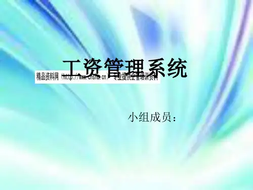 工资管理系统介绍