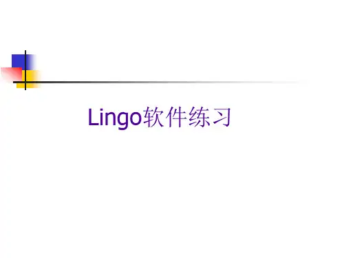 Lingo软件练习题