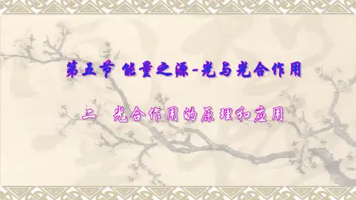 人教版必修一5.4能量之源--光与光合作用PPT下载