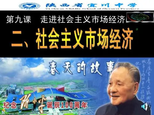 社会主义市场经济》(新人教版必修1)