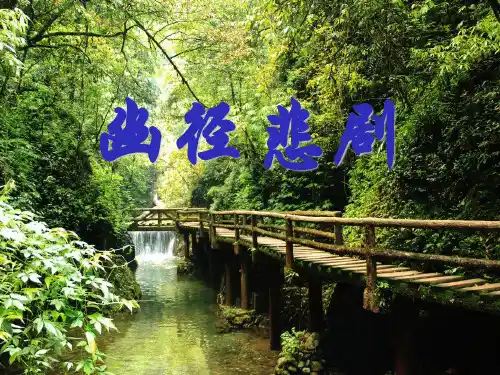 《幽径悲剧》-精品PPT教学课件