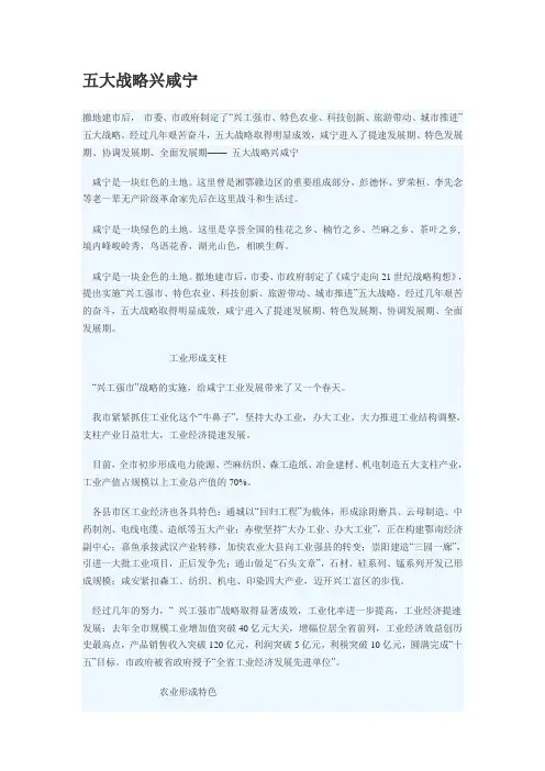 五大战略兴咸宁