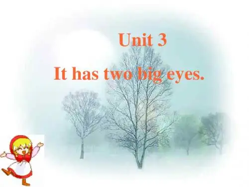 Unit 3 It has two big eyes 课件