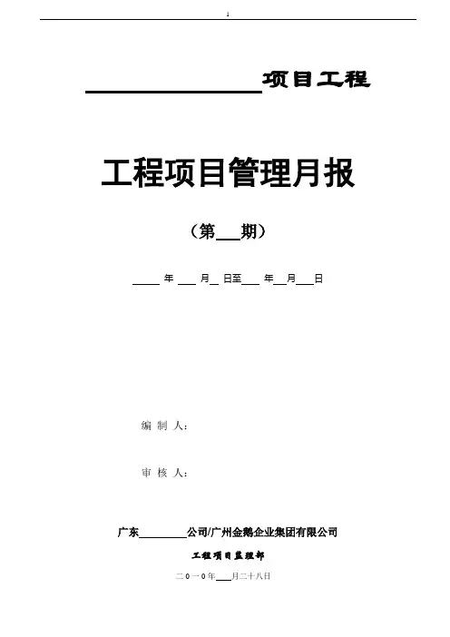 工程管理月报样表