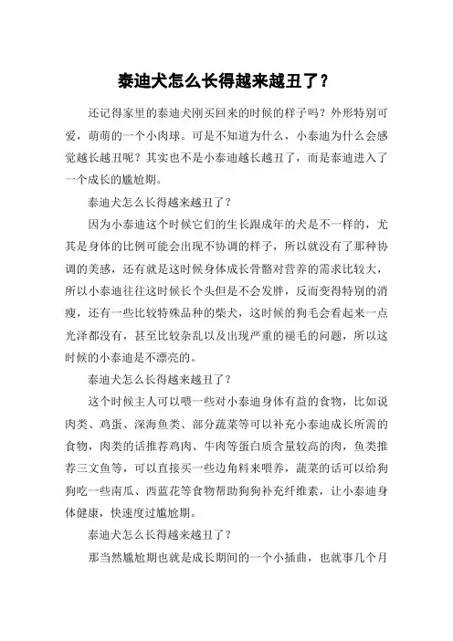 泰迪犬怎么长得越来越丑了？