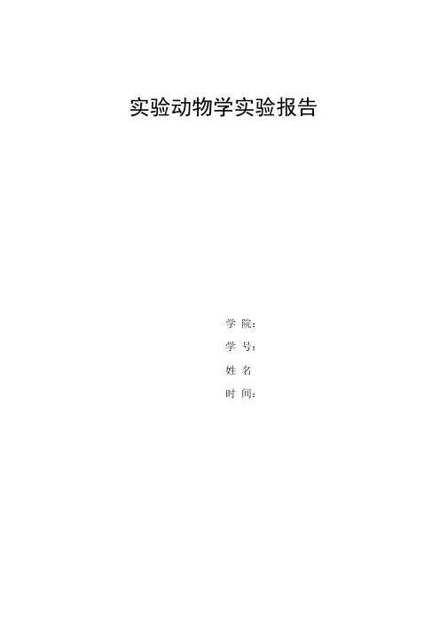 动物实验报告【范本模板】