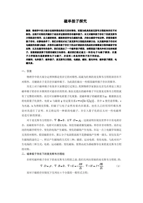 磁单极子探究