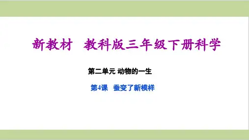(新教材)教科版三年级下册小学科学 2.4 蚕变了新模样 教学课件PPT