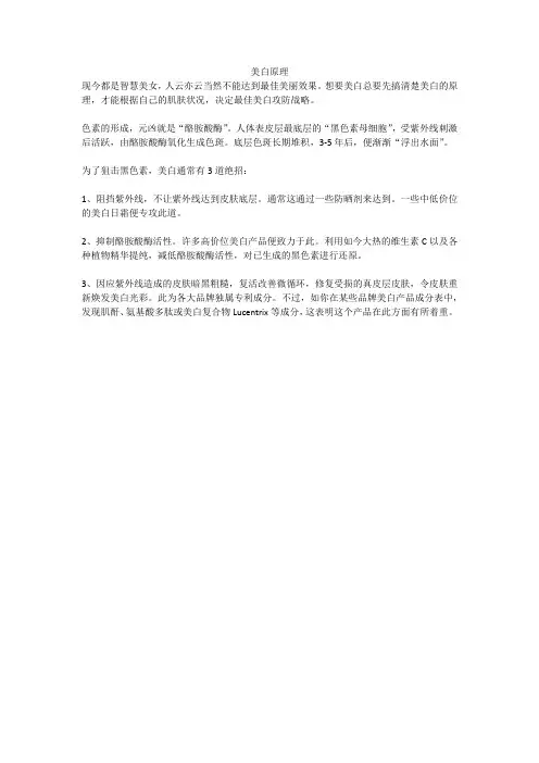 美白原理
