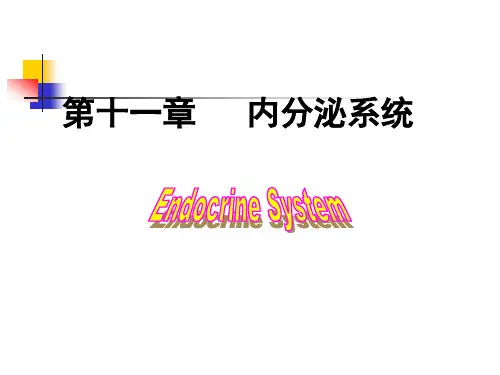 第十一章内分泌系统