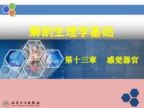 解剖生理基础感觉器官精品PPT课件