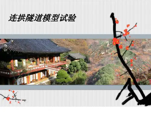 隧道模型