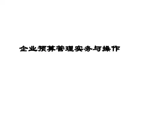 企业预算管理实务与操作参考课件