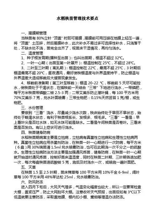 水稻秧苗管理技术要点