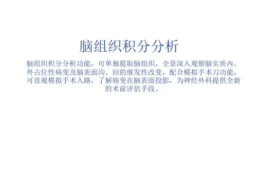 脑组织分析