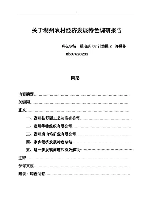 家乡经济发展特色调查报告