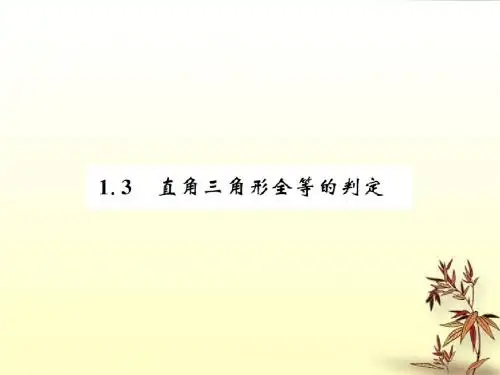八年级数学下册第1章直角三角形1.3直角三角形全等的判定习题课件新
