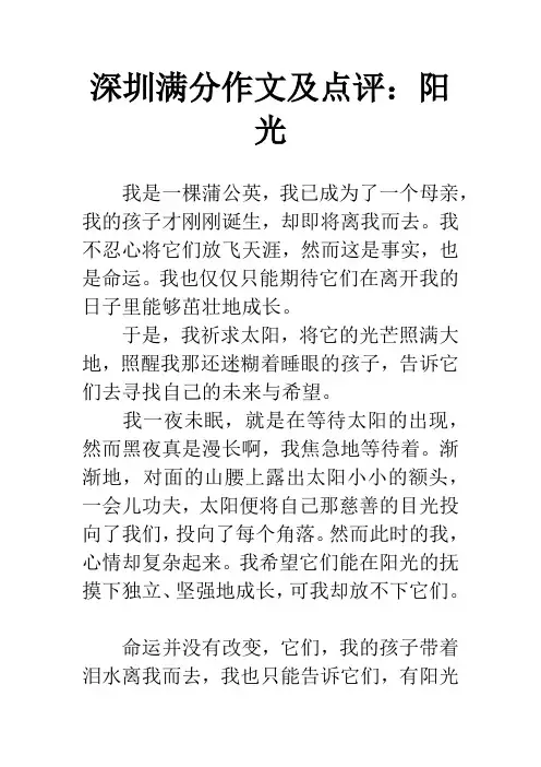 深圳满分作文及点评：阳  光