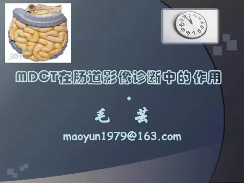 肠道疾病ct诊断[精彩]