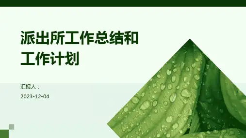 派出所工作总结和工作计划