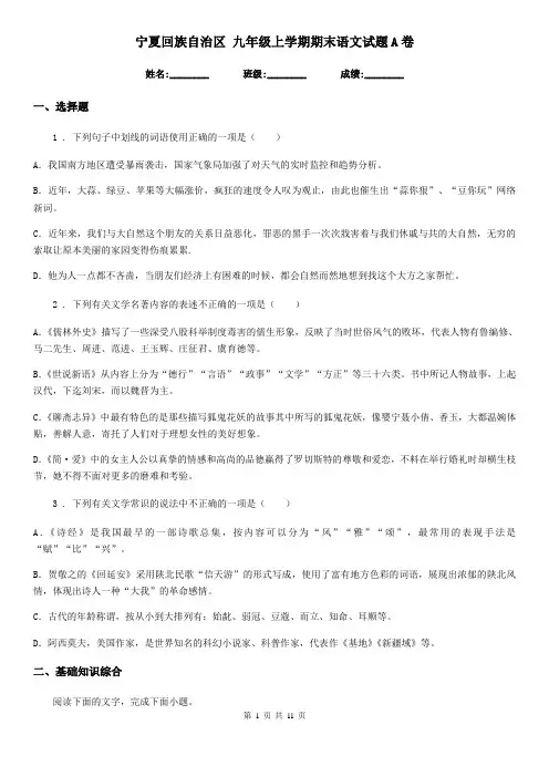 宁夏回族自治区 九年级上学期期末语文试题A卷