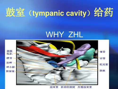 鼓室的解剖及鼓室内给药