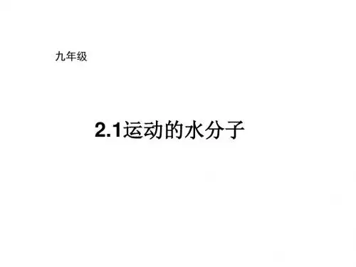 鲁教版化学九年级全册课件：2.1运动的水分子 2