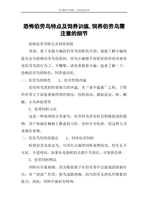 恐怖伯劳鸟特点及饲养训练,饲养伯劳鸟需注意的细节