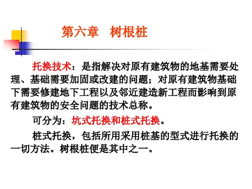 13.树根桩