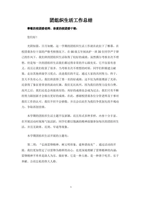 团组织生活工作总结