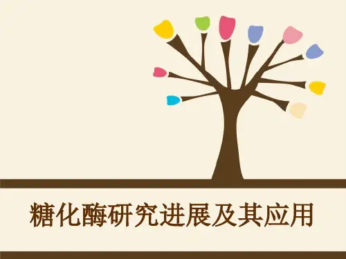 糖化酶研究进展及其应用