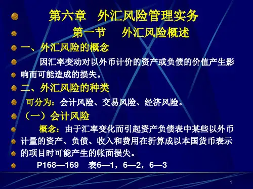 第六章外汇风险管理实务