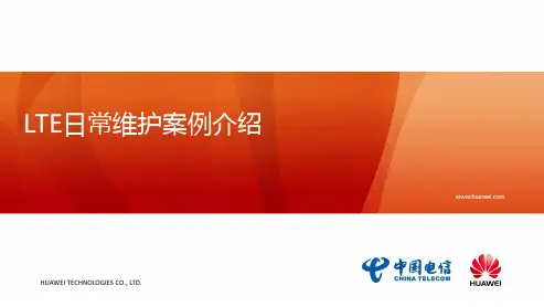 (完整版)LTE日常维护案例介绍