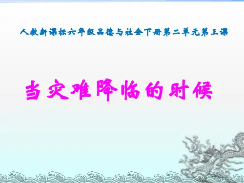 《当灾害降临的时候》PPT课件