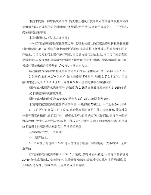 红花大果油茶嫁接技术