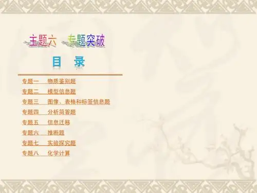 人教版中考化学夺分宝典课件-主题6-专题突破ppt课件(共88页)