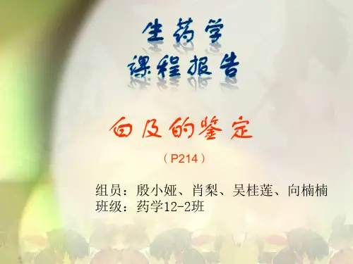 白芨