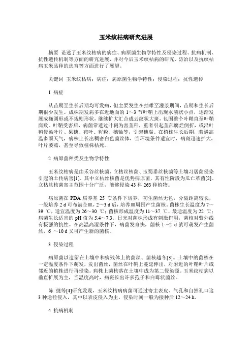 玉米纹枯病研究进展