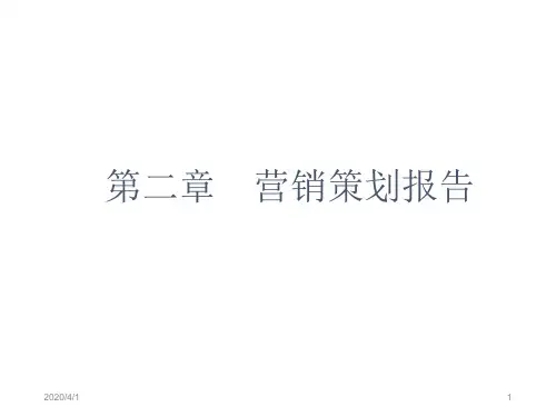 营销策划报告