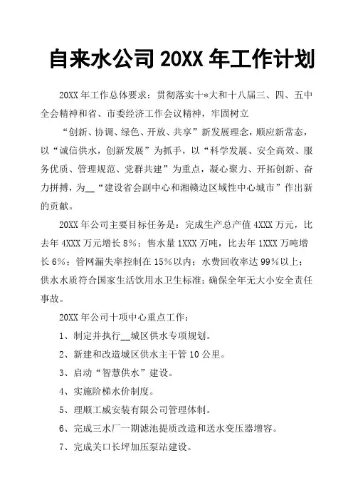 自来水公司20XX年工作计划