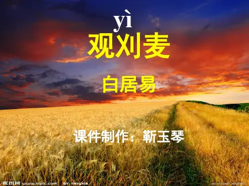 观刈麦最全最优课件[1]
