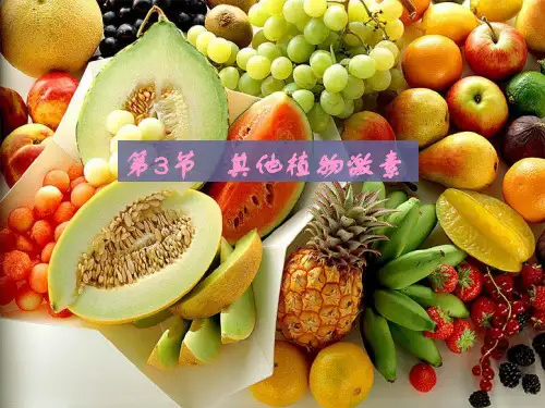 其他激素调节课件