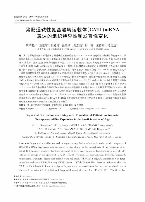 猪肠道碱性氨基酸转运载体(CAT1)mRNA表达的组织特异性和发育性变化