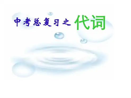 中考英语复习课件代词