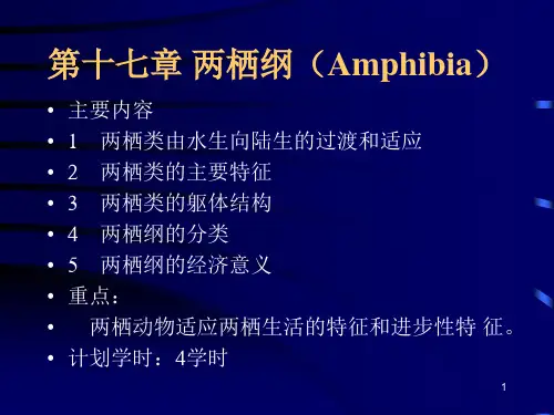 第十七章 两栖纲(Amphibia)